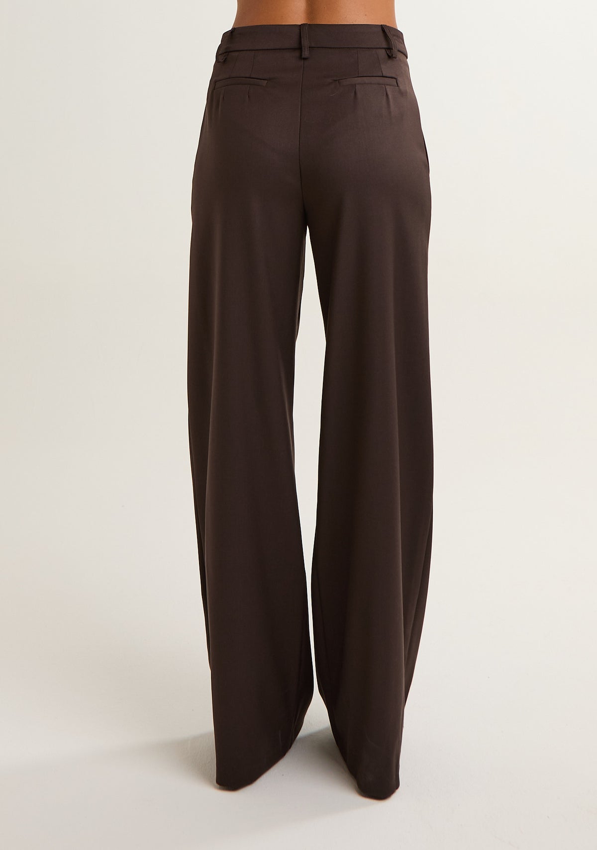 Pantalone tinta unita con pences