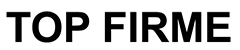 LOGO TOPFIRME