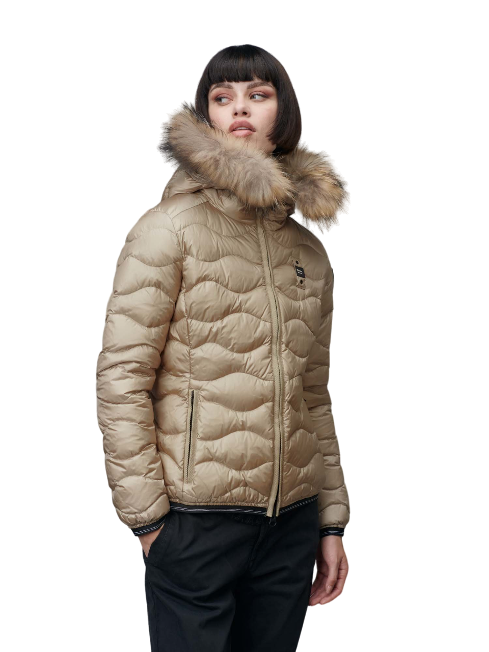 Aldie Fur Trim Down Jacket