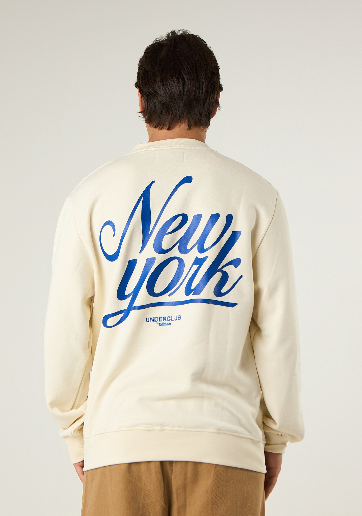 Felpa con stampa New York posteriore
