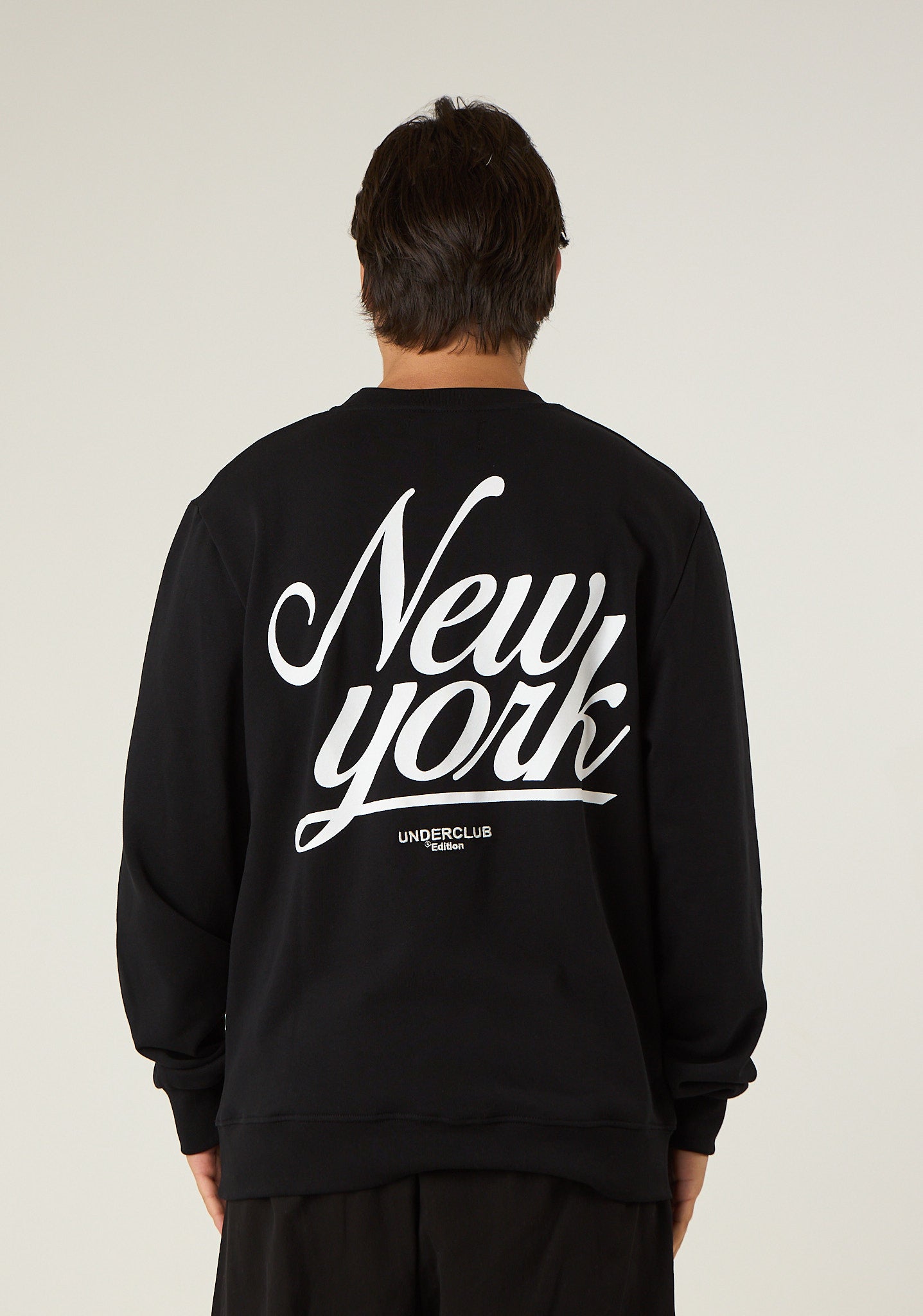 Felpa con stampa New York posteriore