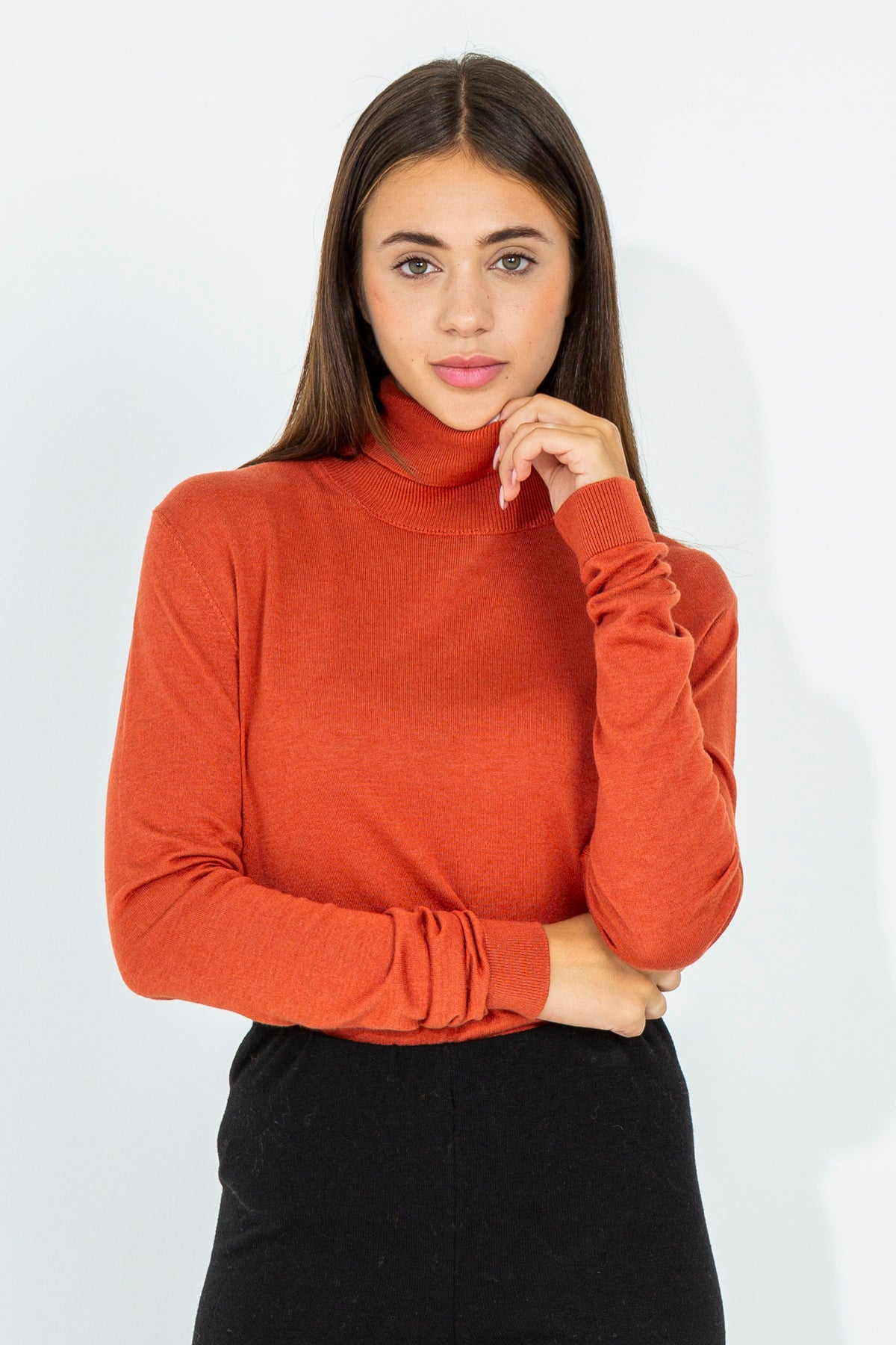 Regular turtleneck sweater