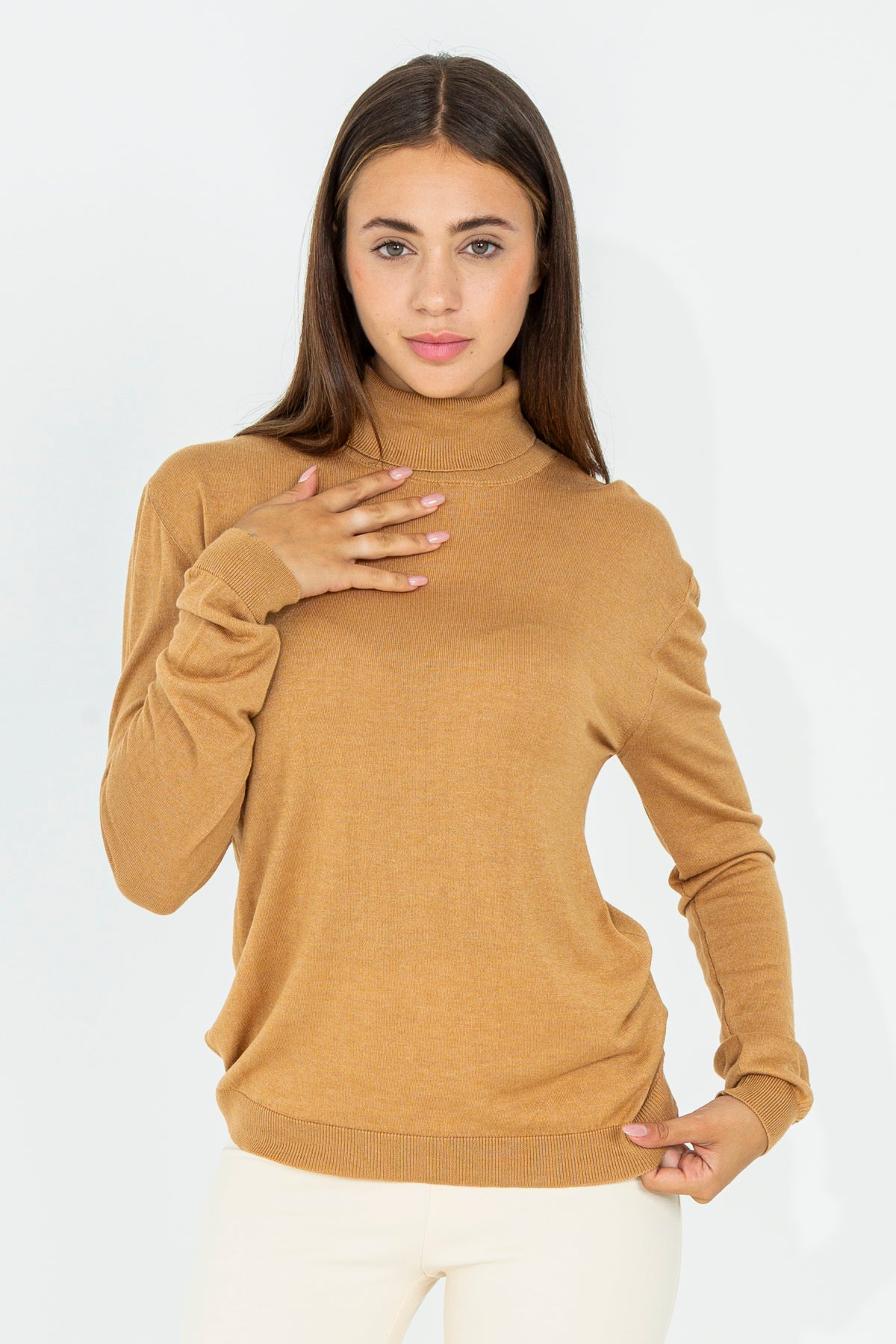 Regular turtleneck sweater