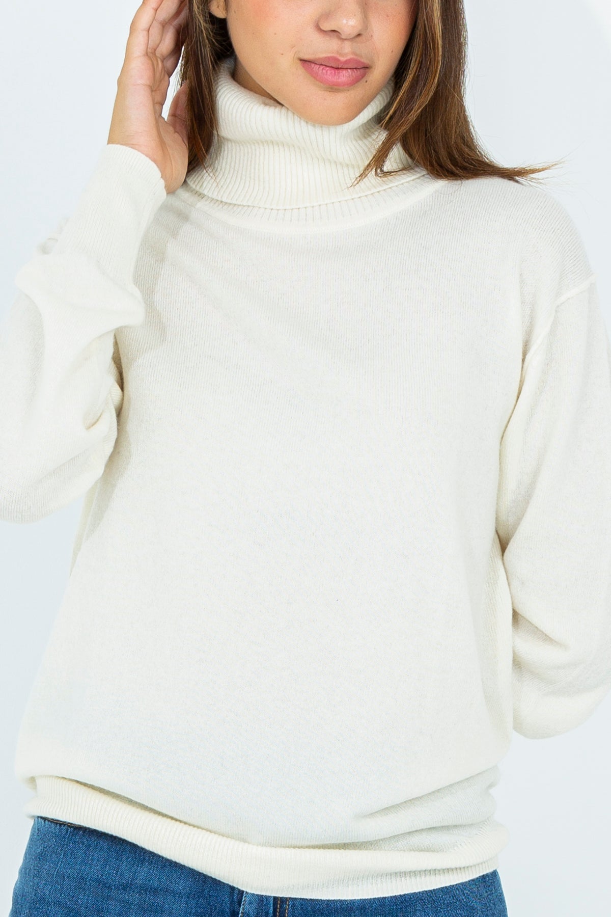 Wool blend turtleneck sweater