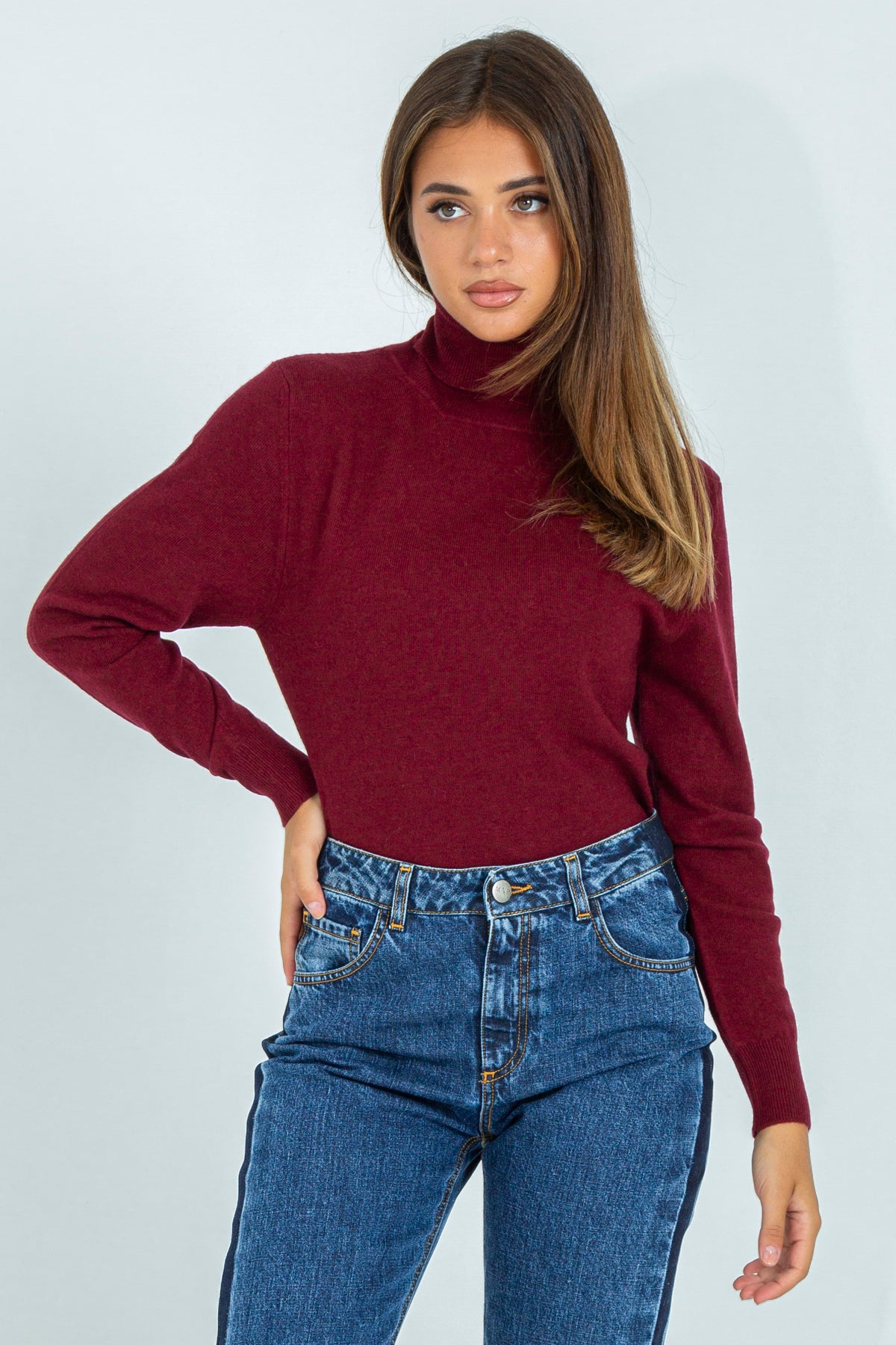 Wool and cashmere blend turtleneck sweater